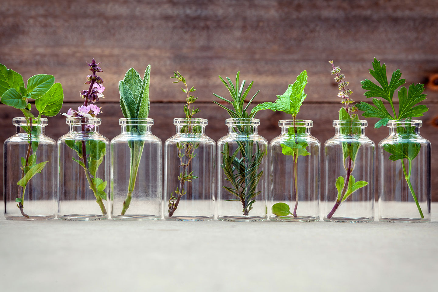 Les herbes aromatiques subliment notre cuisine de tous les jours, sans rajouter de sel, de sucre ou de matières grasses.